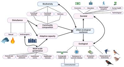 Promoting urban ecological resilience through the lens of avian biodiversity